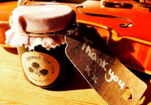 solo violin cornwall weddings