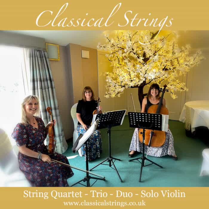 Classical Strings String Quartet Weddings in Cornwall & Devon