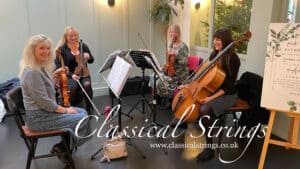 Wildest Dreams : Taylor Swift : String Quartet Version arranged by Sue Aston - Classical Strings
